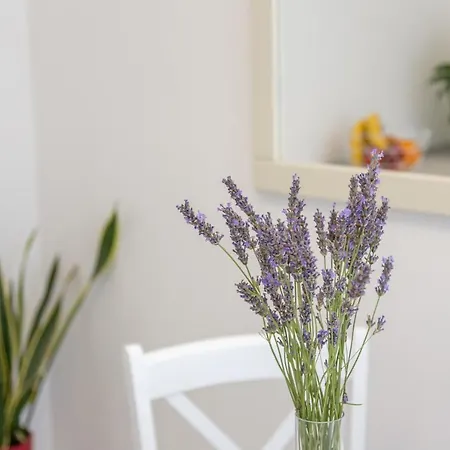 Petric, Old Town Hvar Apartament