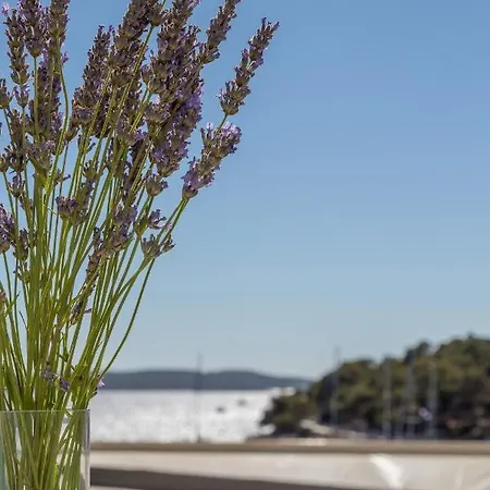 Apartament Petric, Old Town Hvar