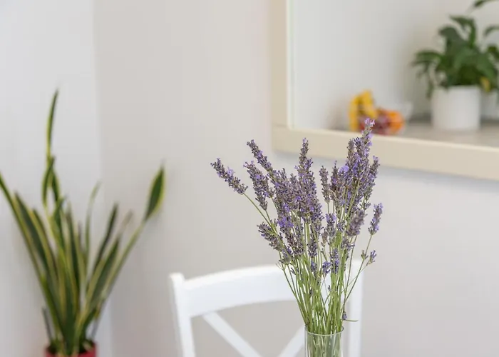 Petric, Old Town Hvar Apartman