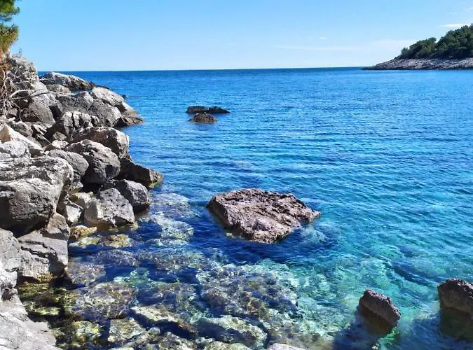 Petric, Old Town Hvar *