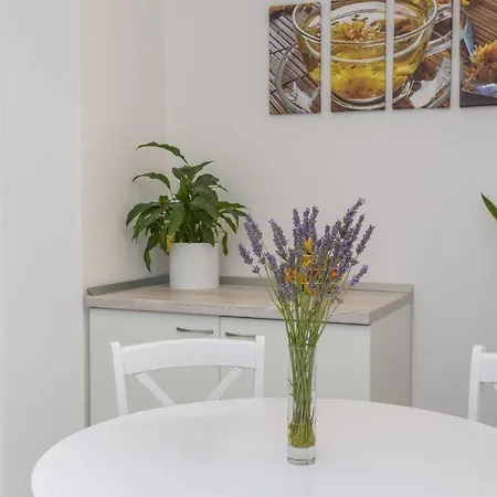 Petric, Old Town Hvar 公寓 赫瓦尔