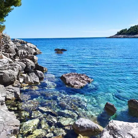 Petric, Old Town Hvar *