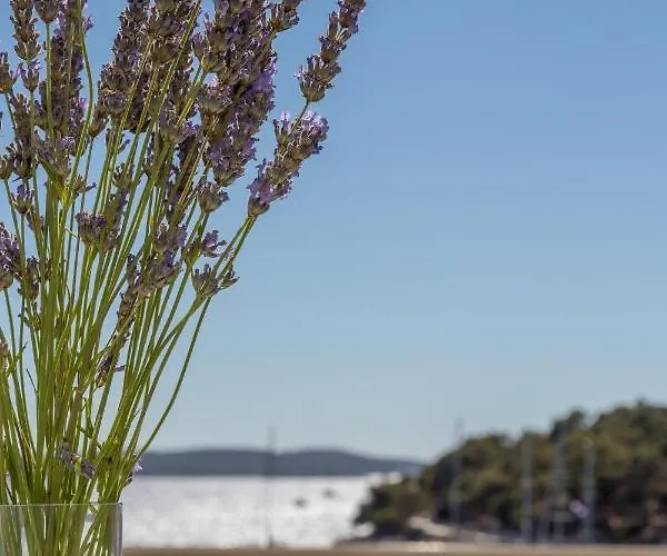 아파트 Petric, Old Town Hvar