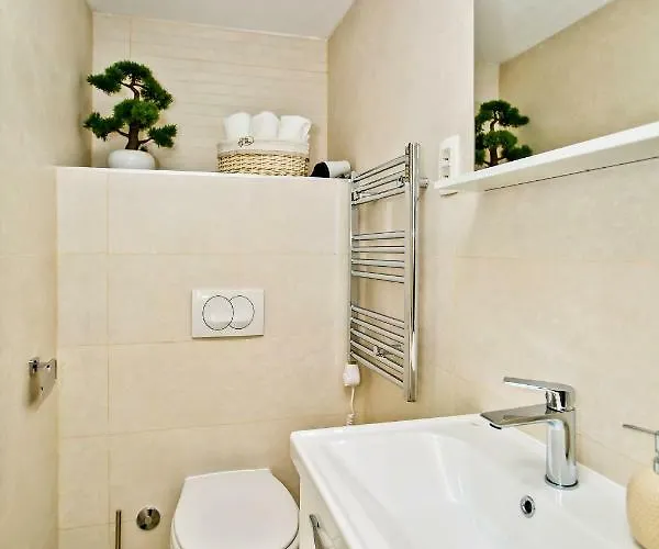 Petric, Old Town Hvar